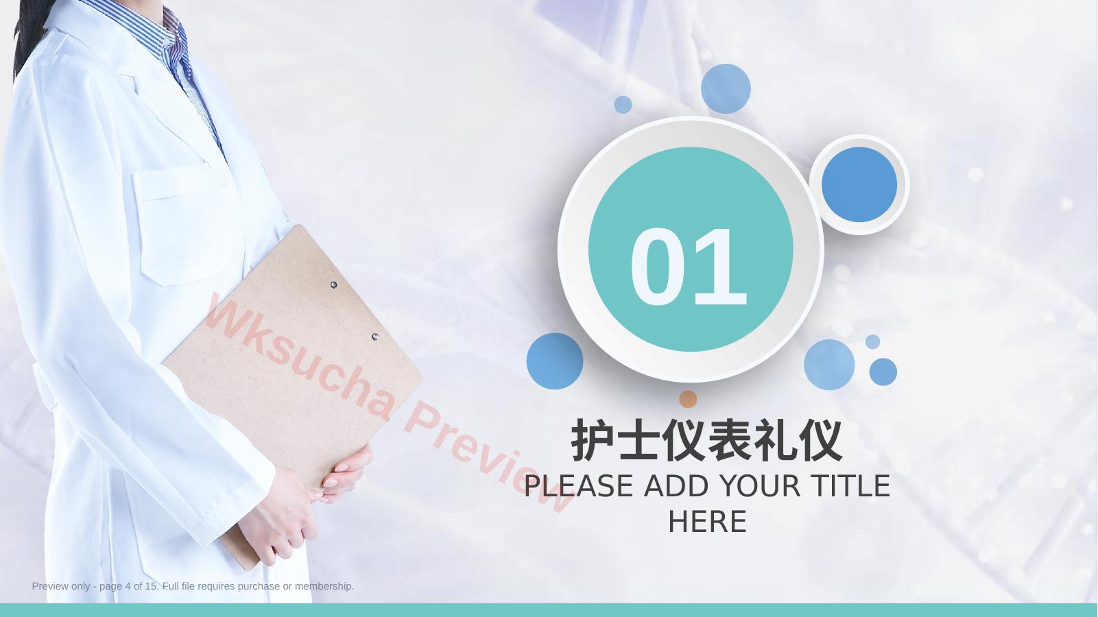 预览第 4 页
