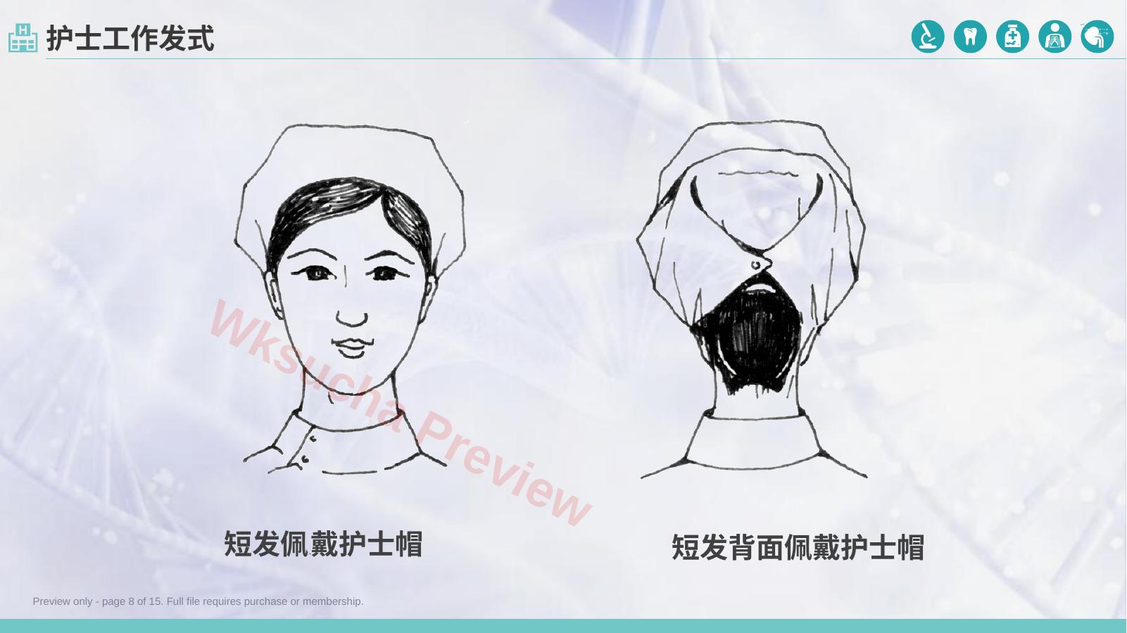 预览第 8 页