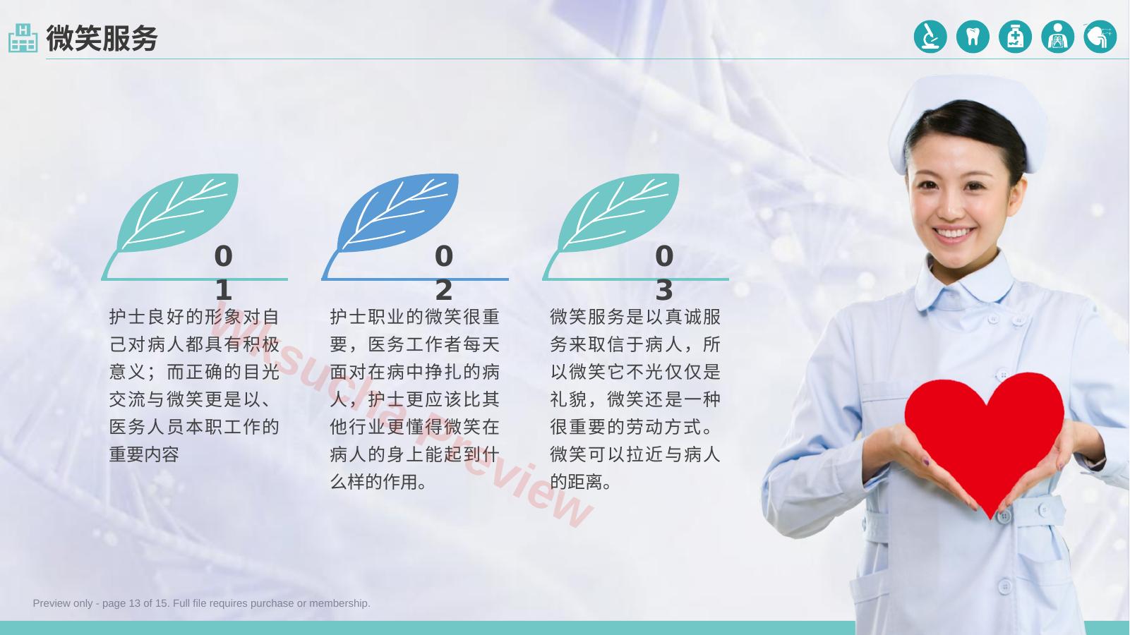 预览第 13 页