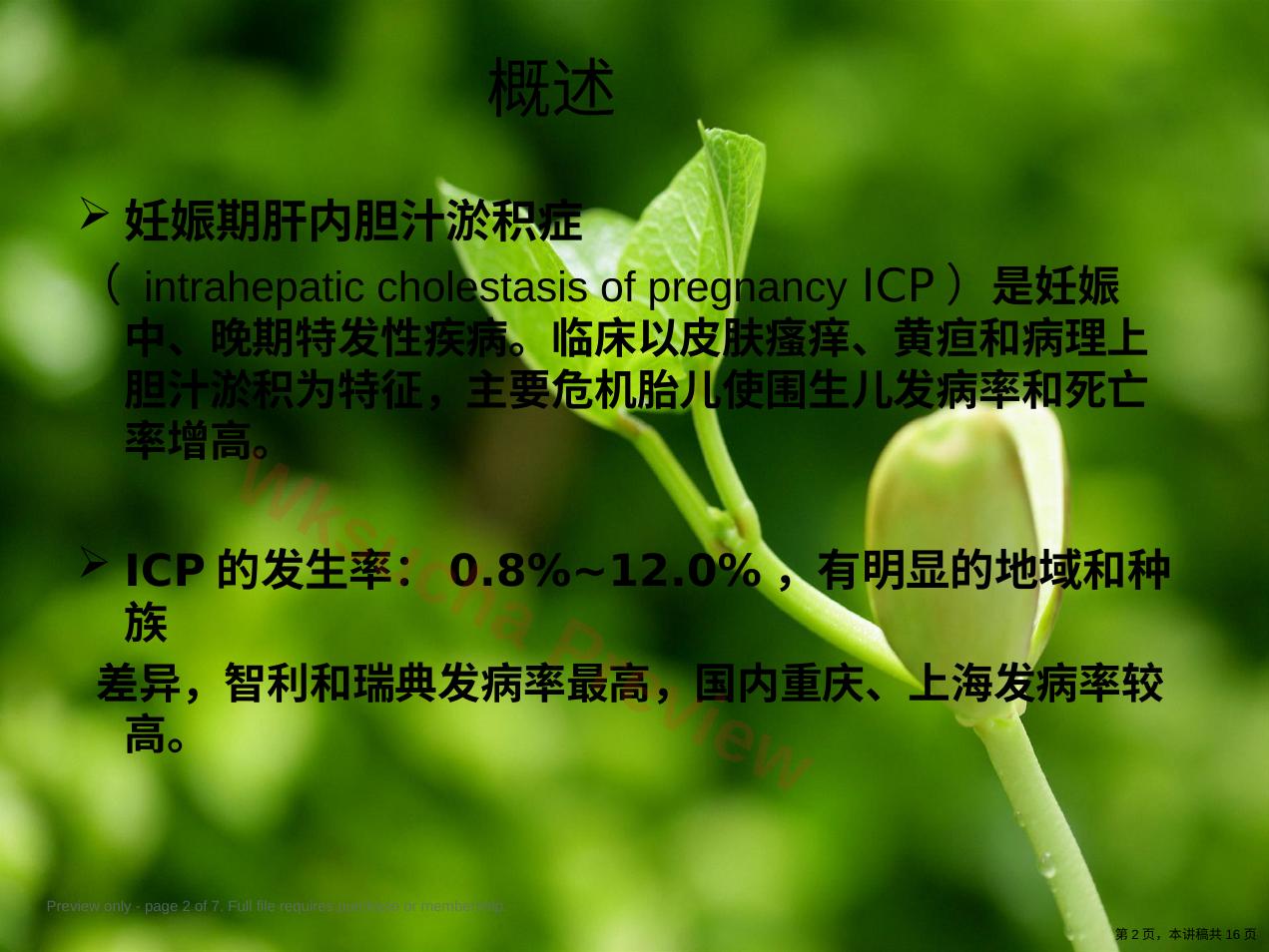 预览第 2 页