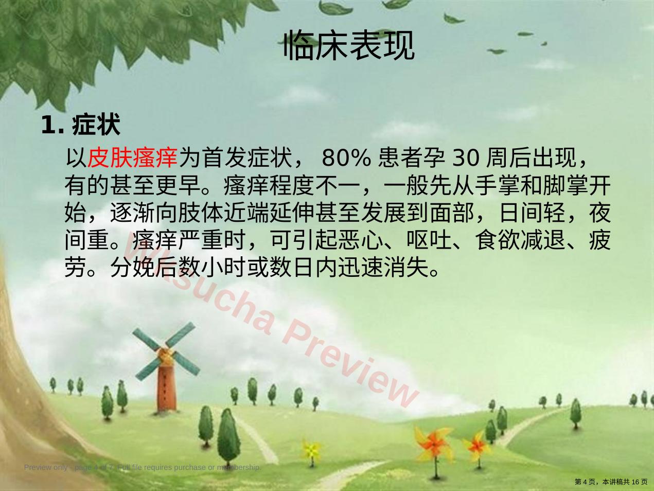 预览第 4 页