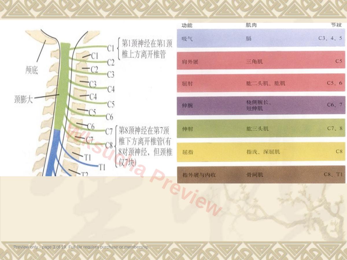预览第 3 页