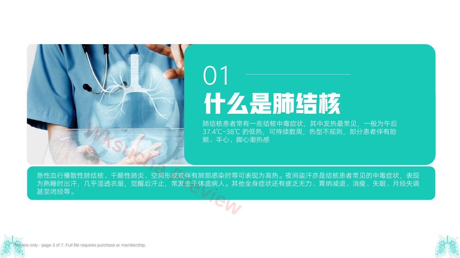 预览第 3 页