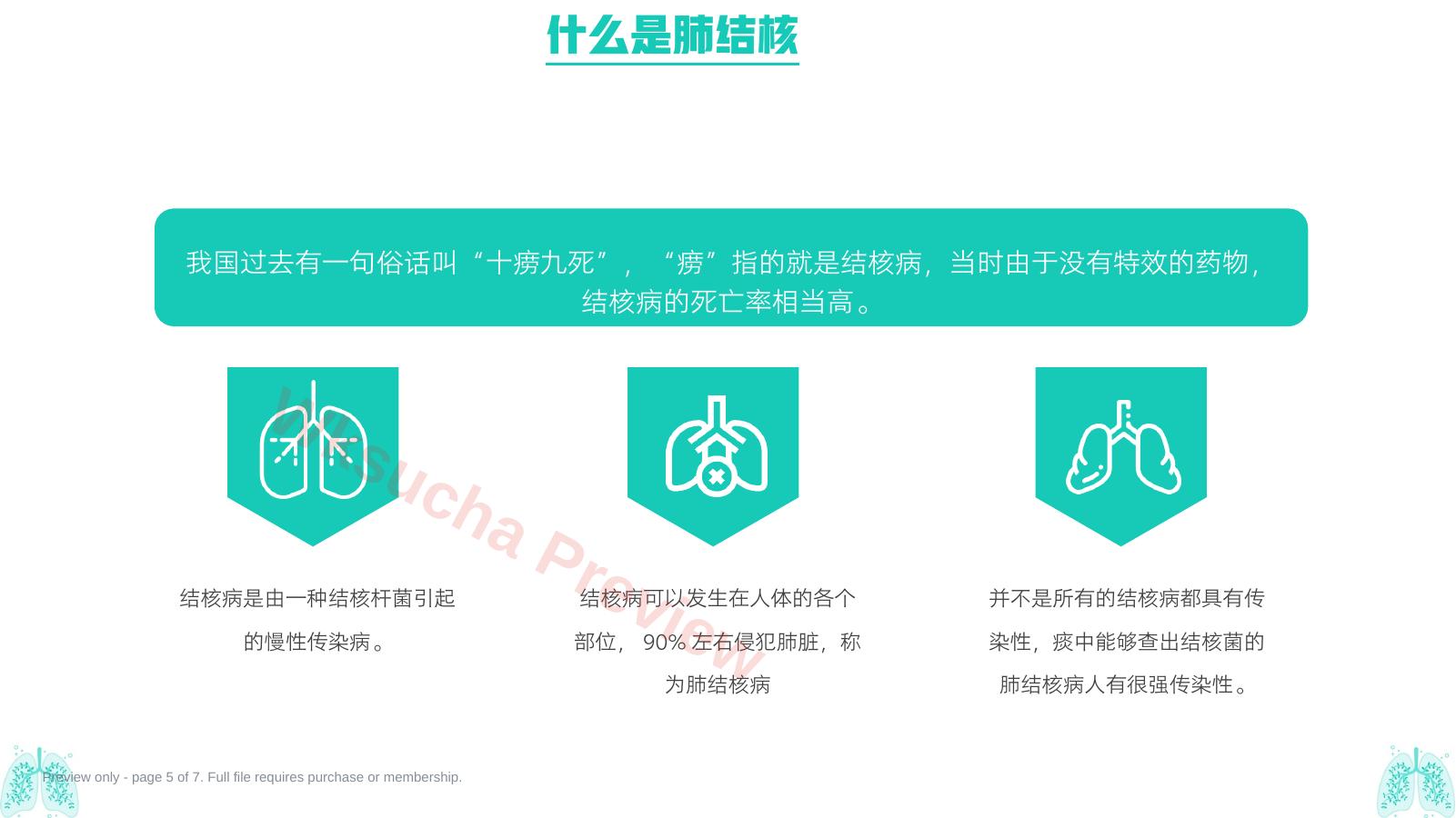 预览第 5 页
