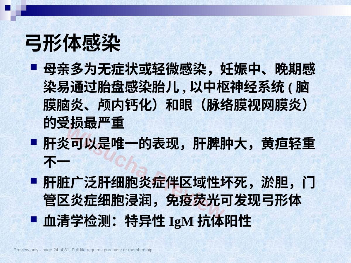 预览第 24 页