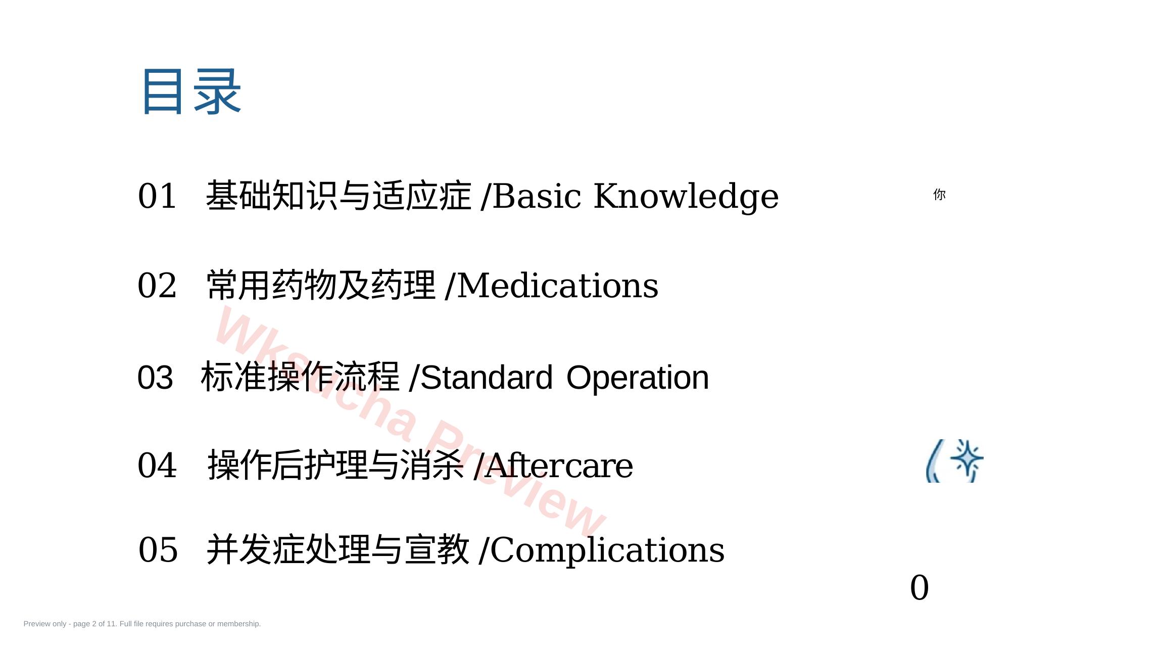 预览第 2 页