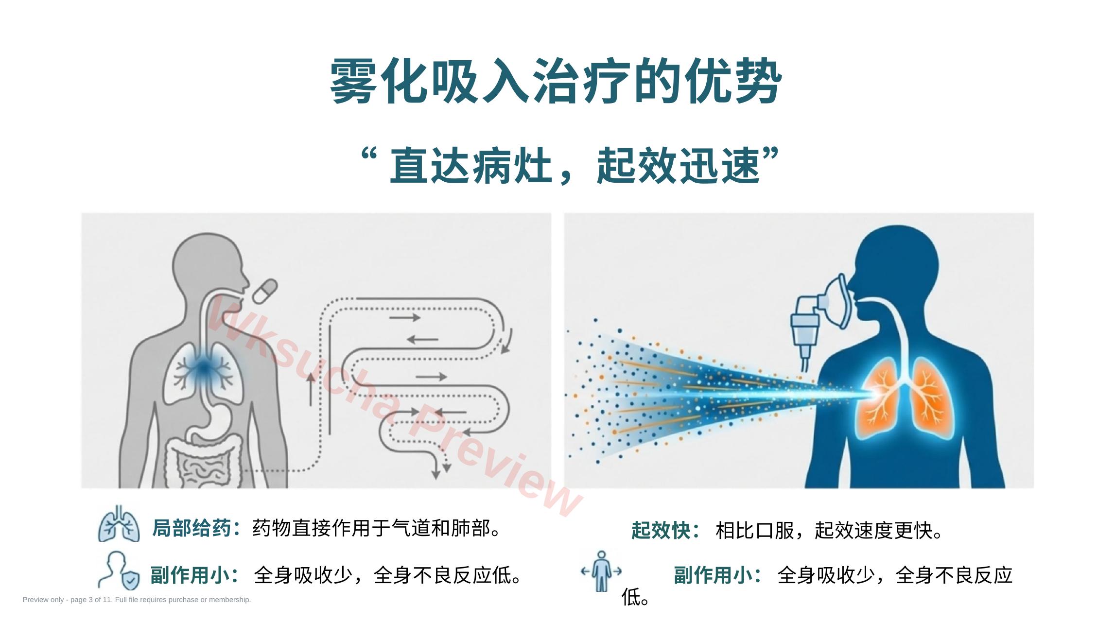 预览第 3 页