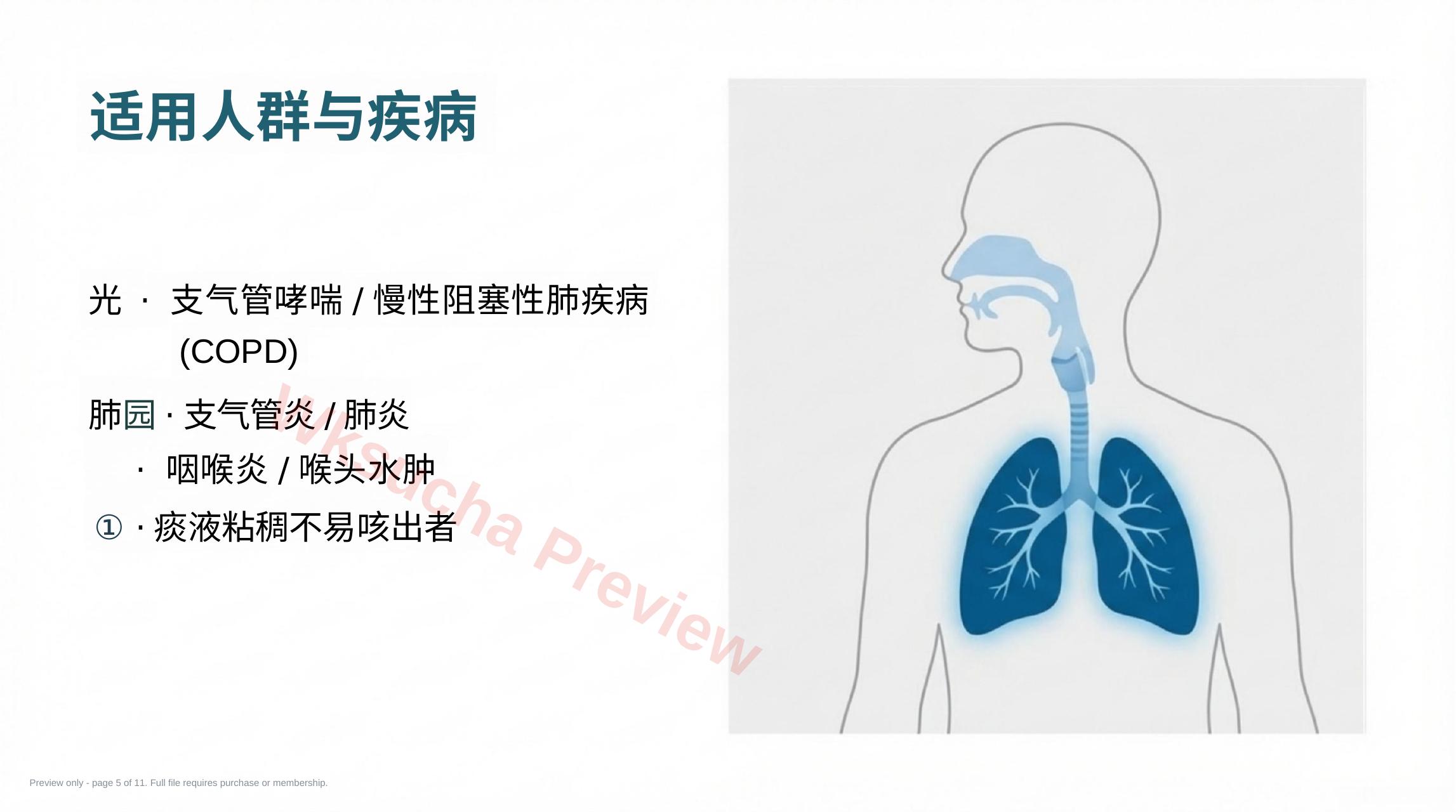 预览第 5 页