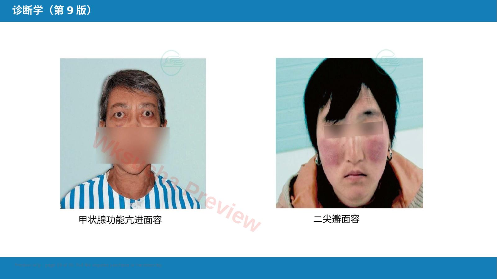 预览第 19 页