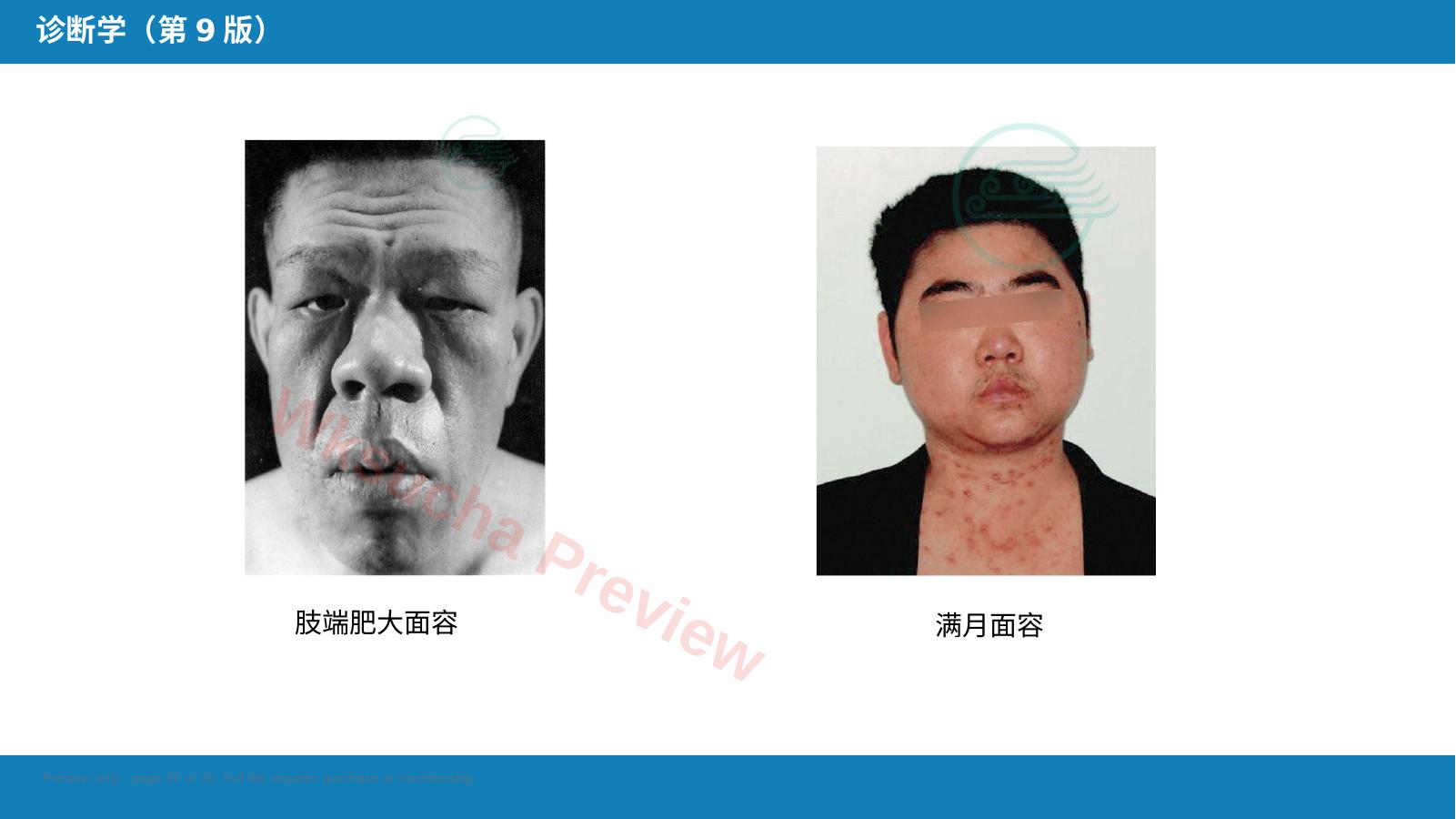 预览第 20 页