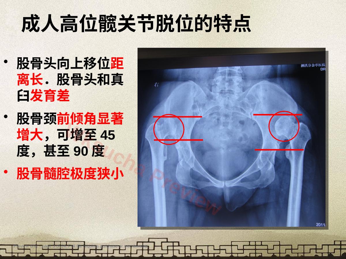 预览第 3 页