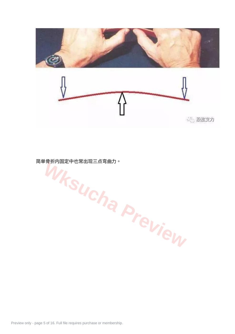 预览第 5 页