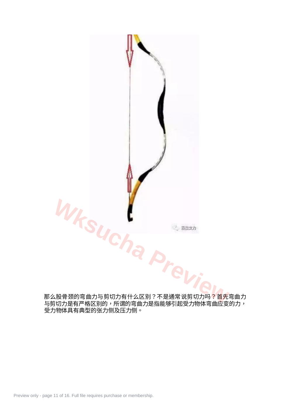 预览第 11 页
