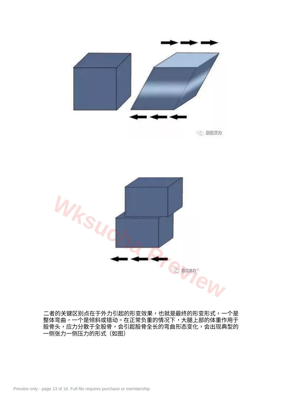预览第 13 页