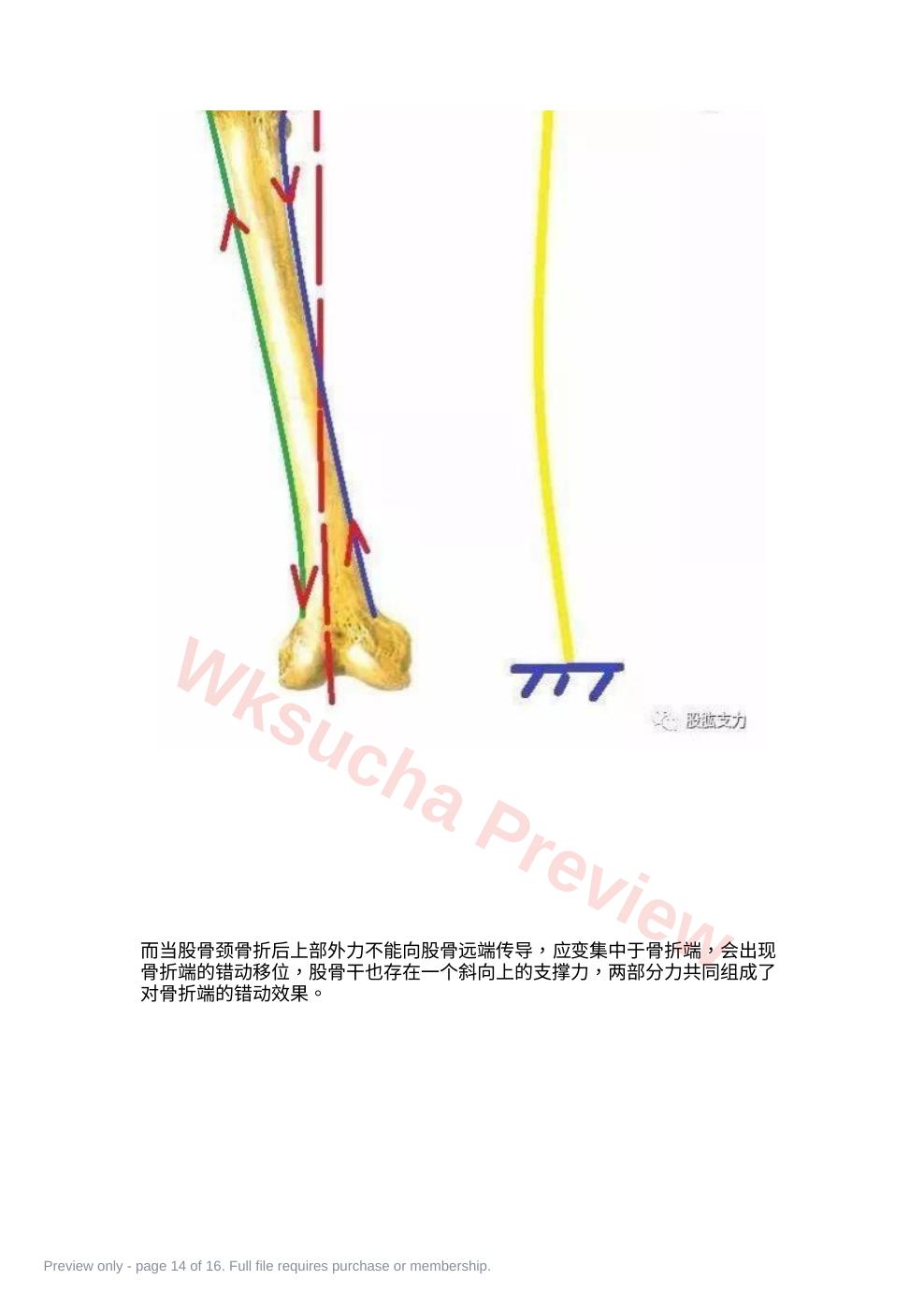 预览第 14 页