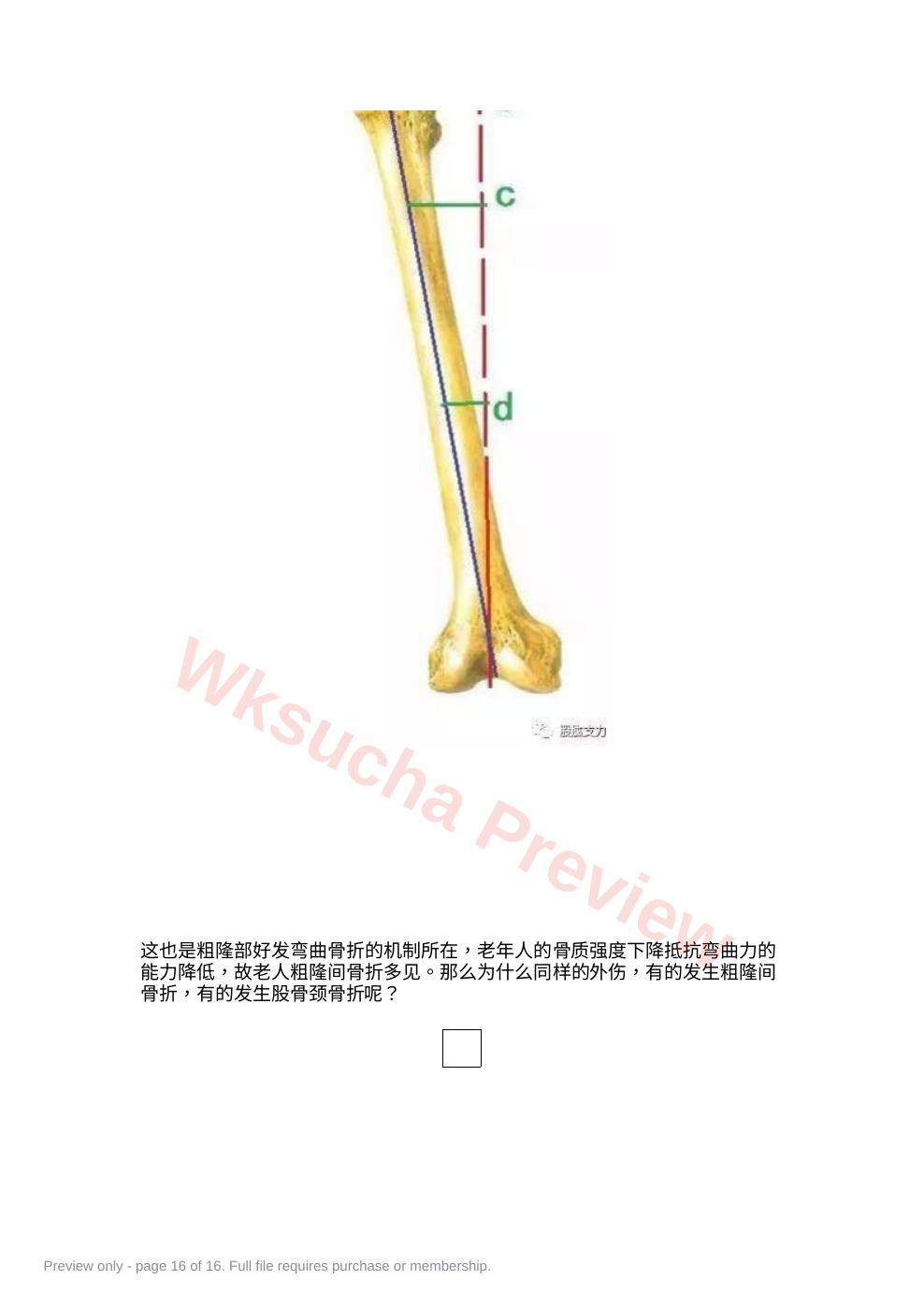 预览第 16 页