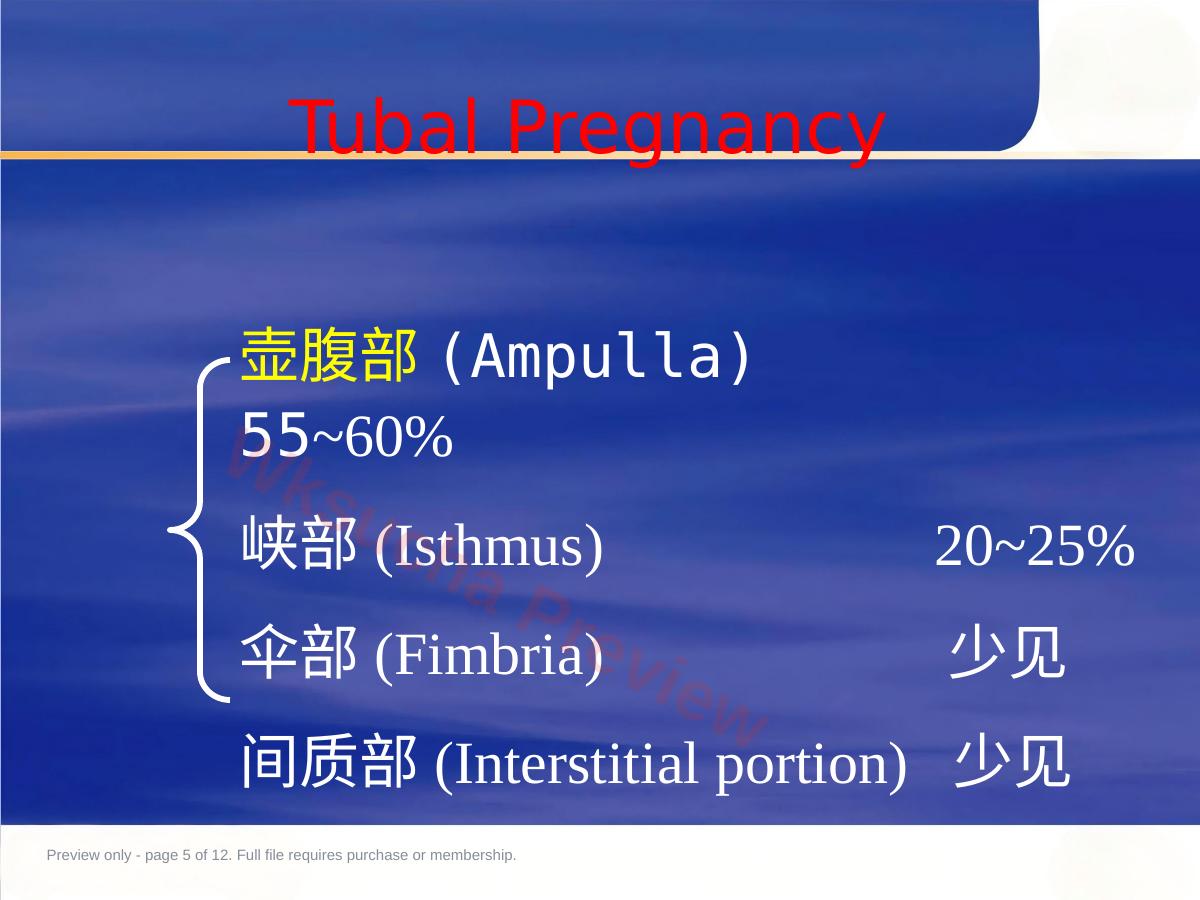 预览第 5 页