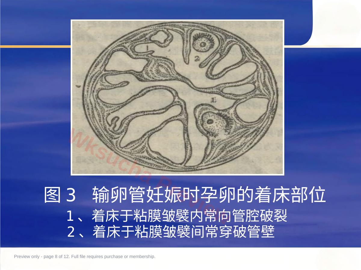 预览第 8 页