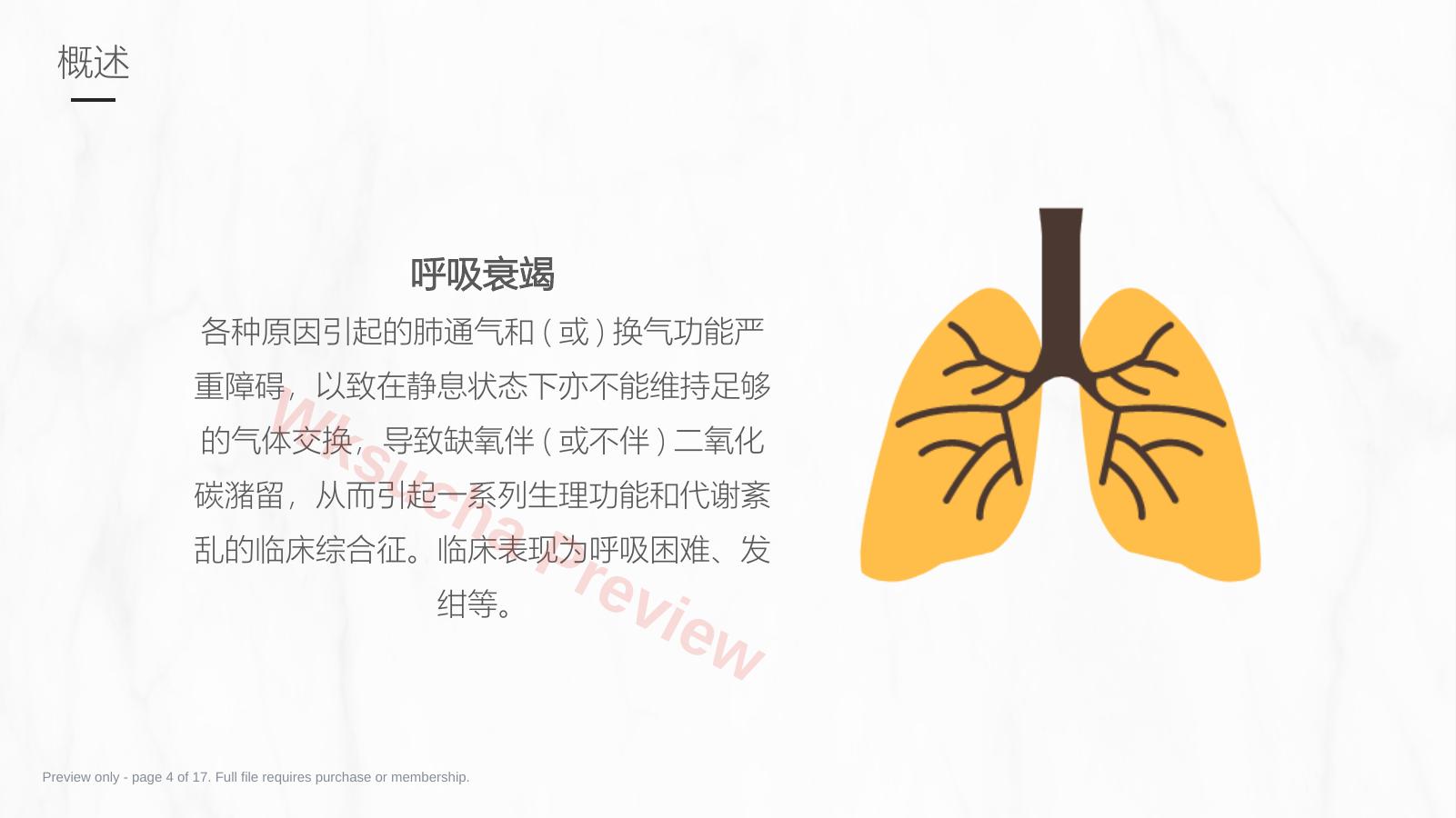 预览第 4 页