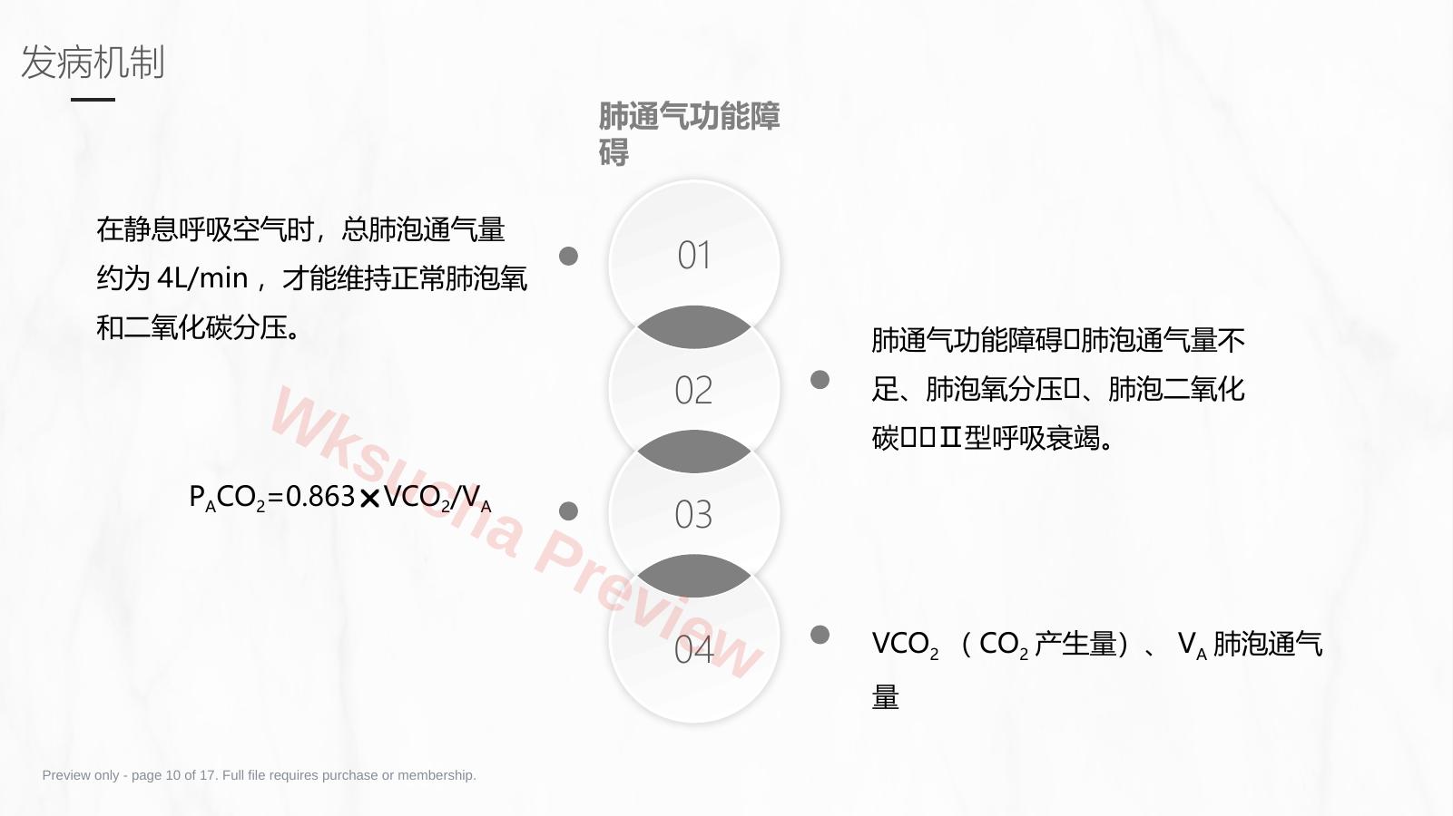 预览第 10 页