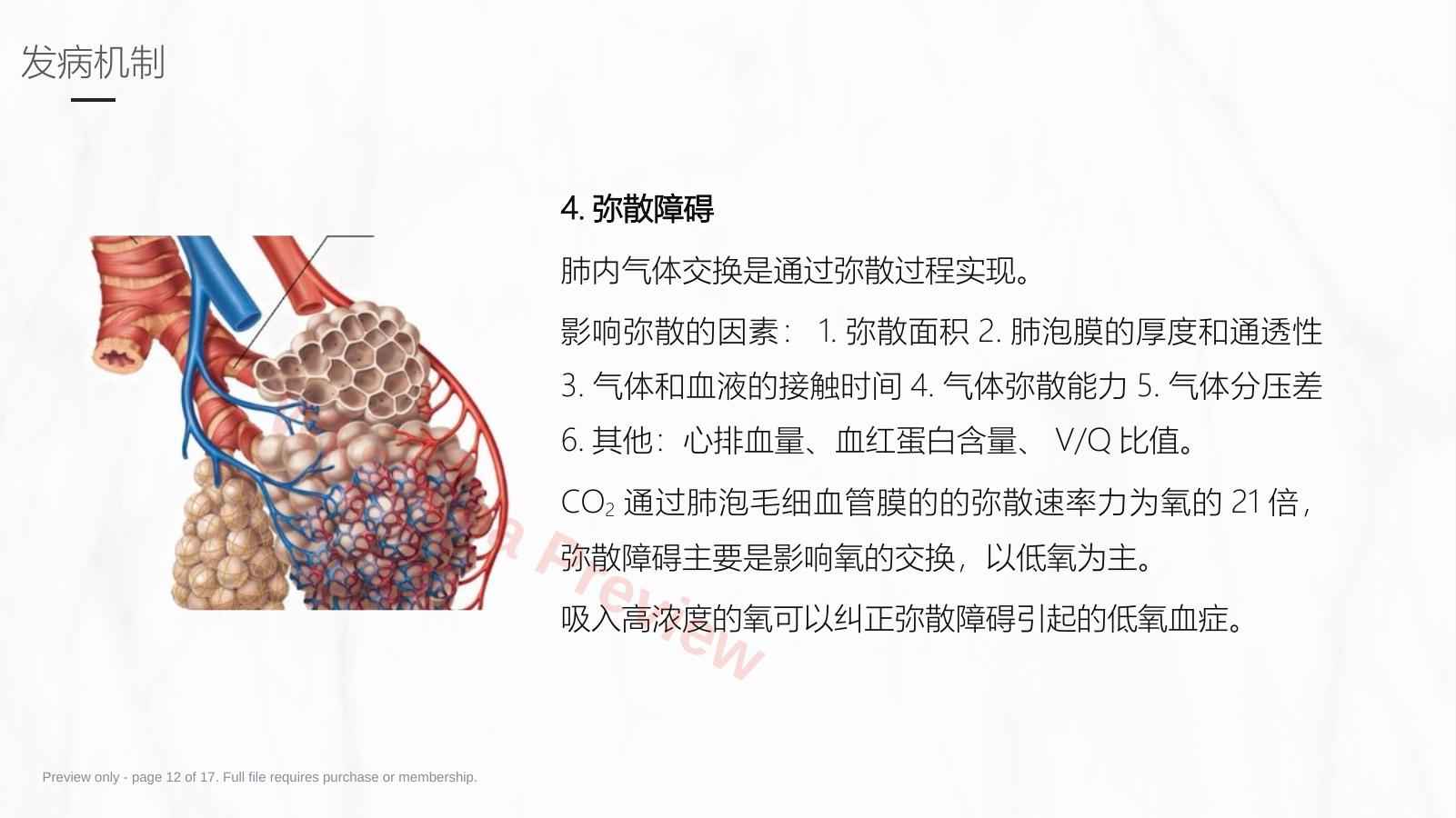 预览第 12 页