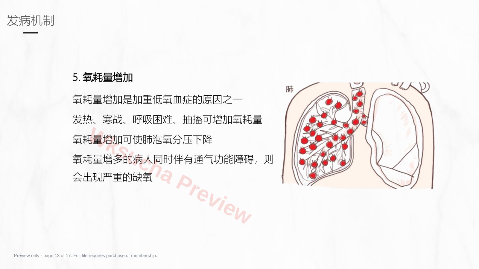 预览第 13 页