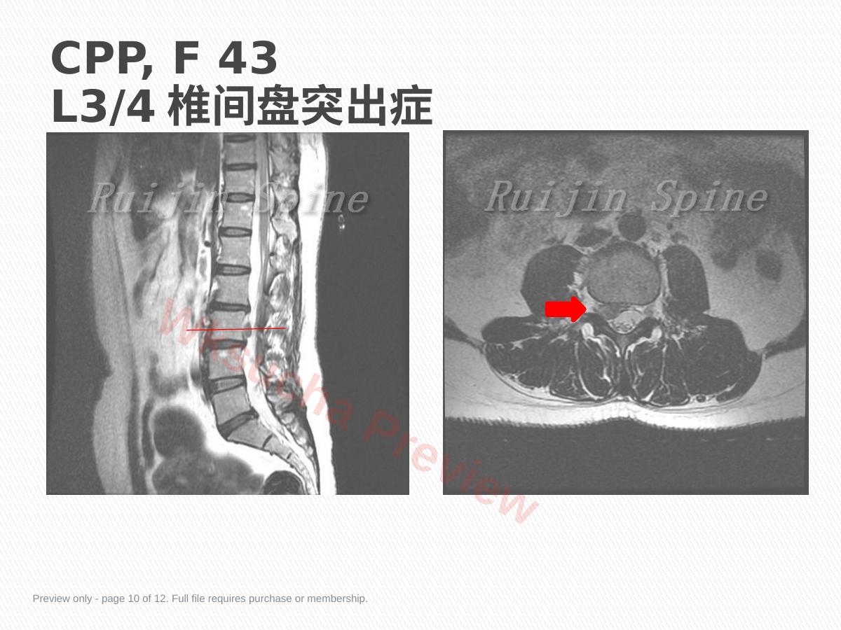 预览第 10 页