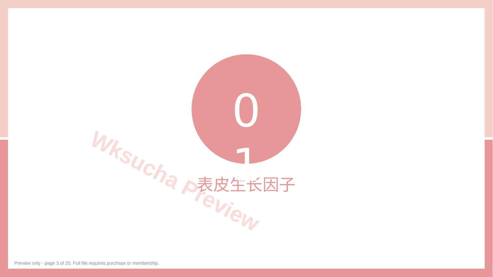 预览第 3 页