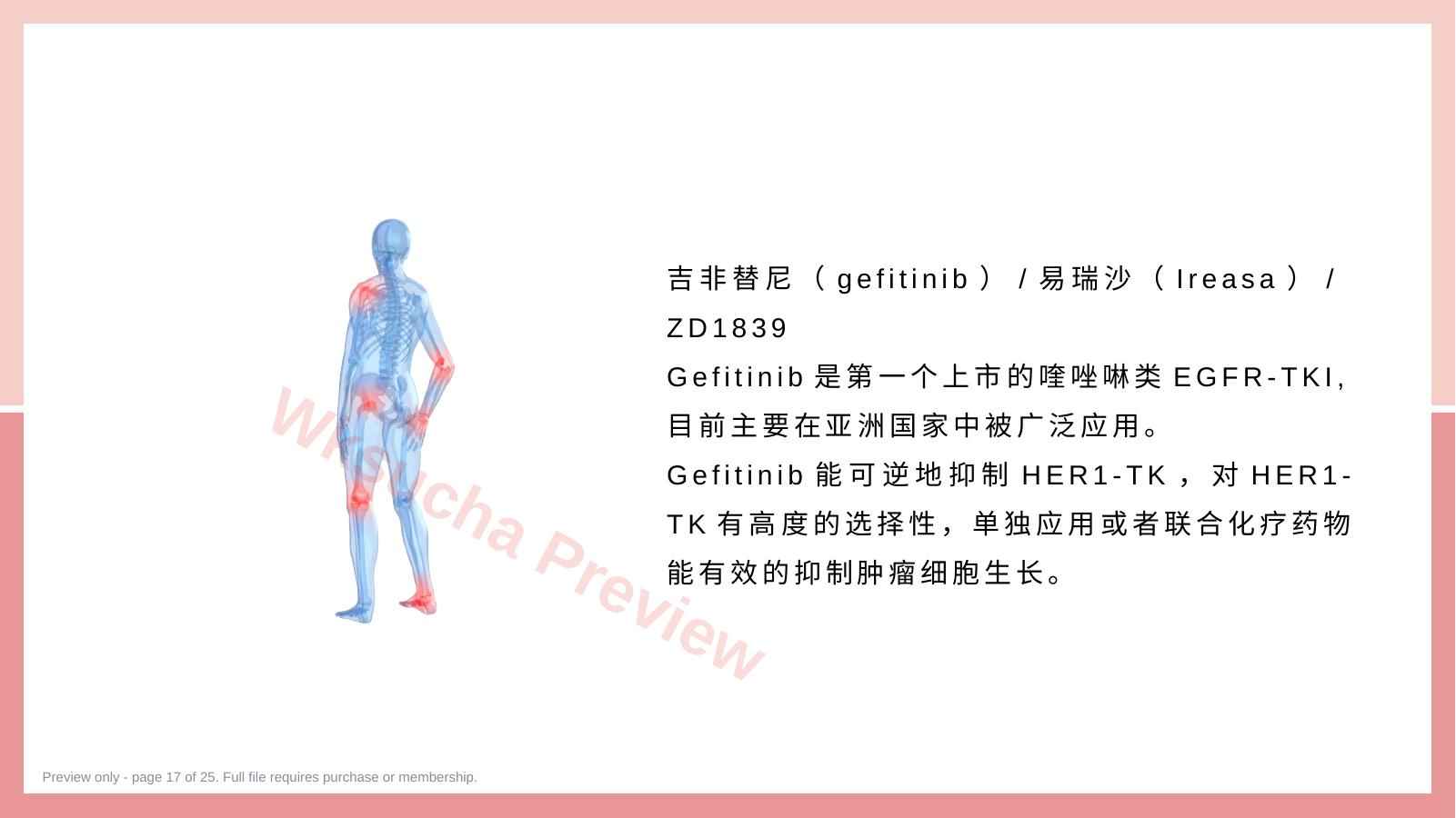 预览第 17 页