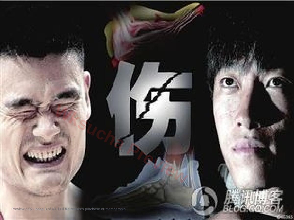 预览第 3 页