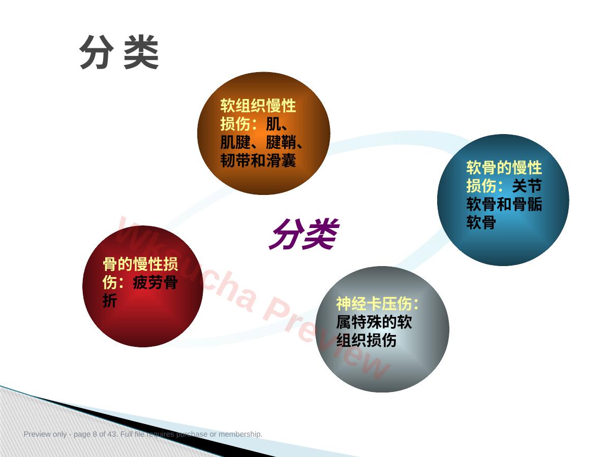 预览第 8 页