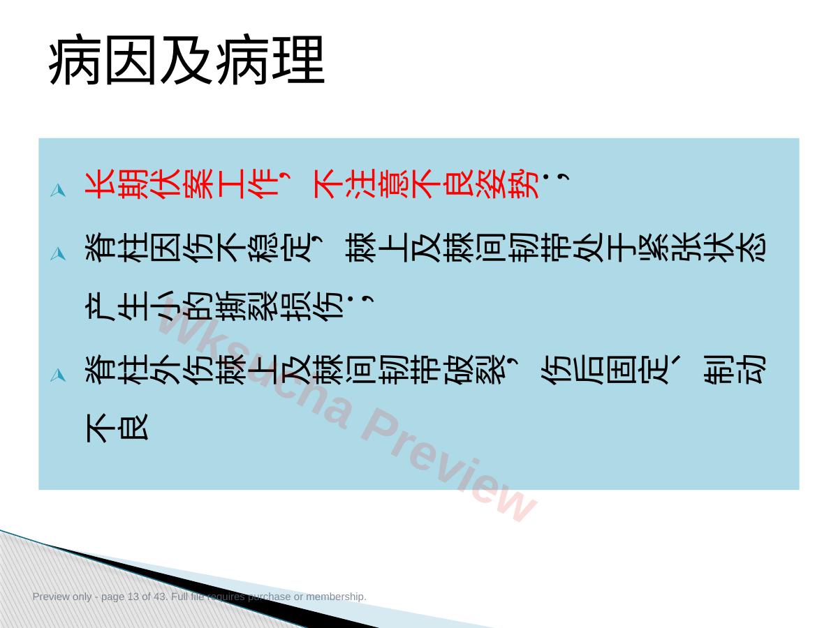 预览第 13 页