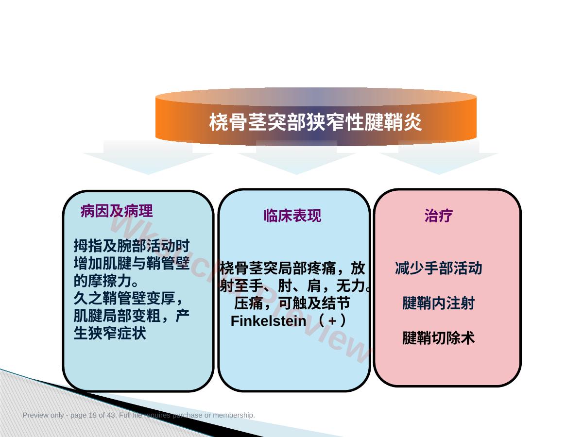 预览第 19 页