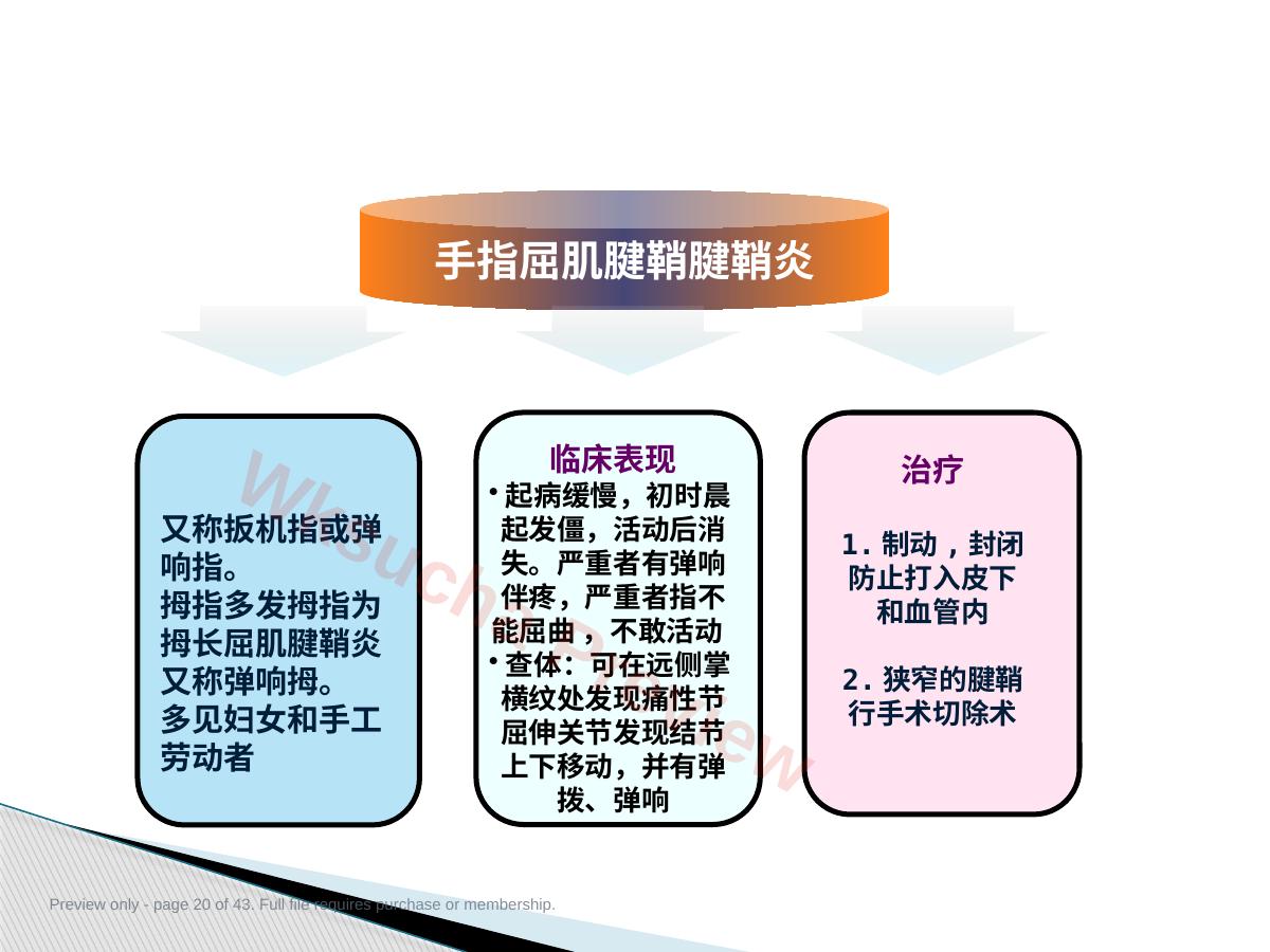 预览第 20 页
