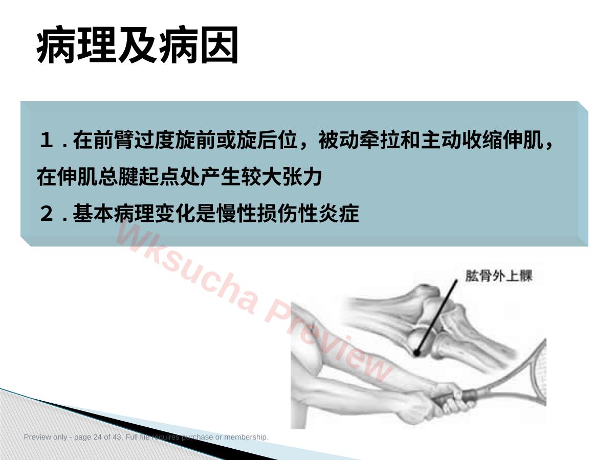 预览第 24 页
