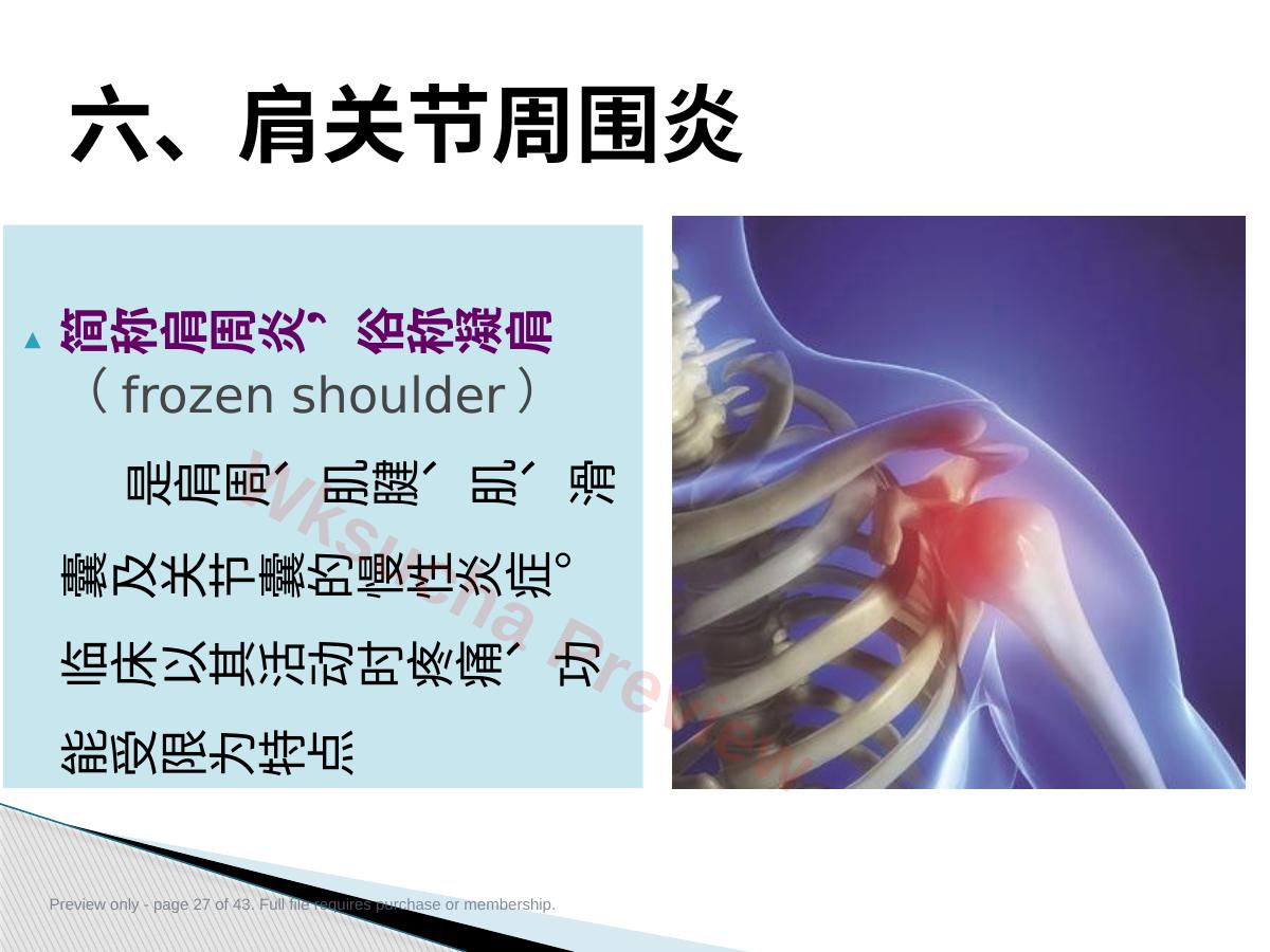 预览第 27 页