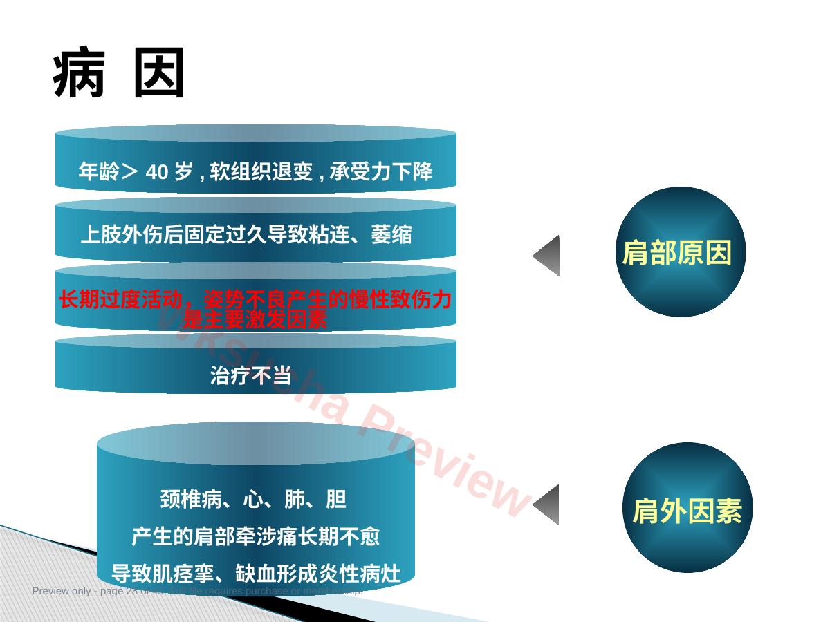 预览第 28 页