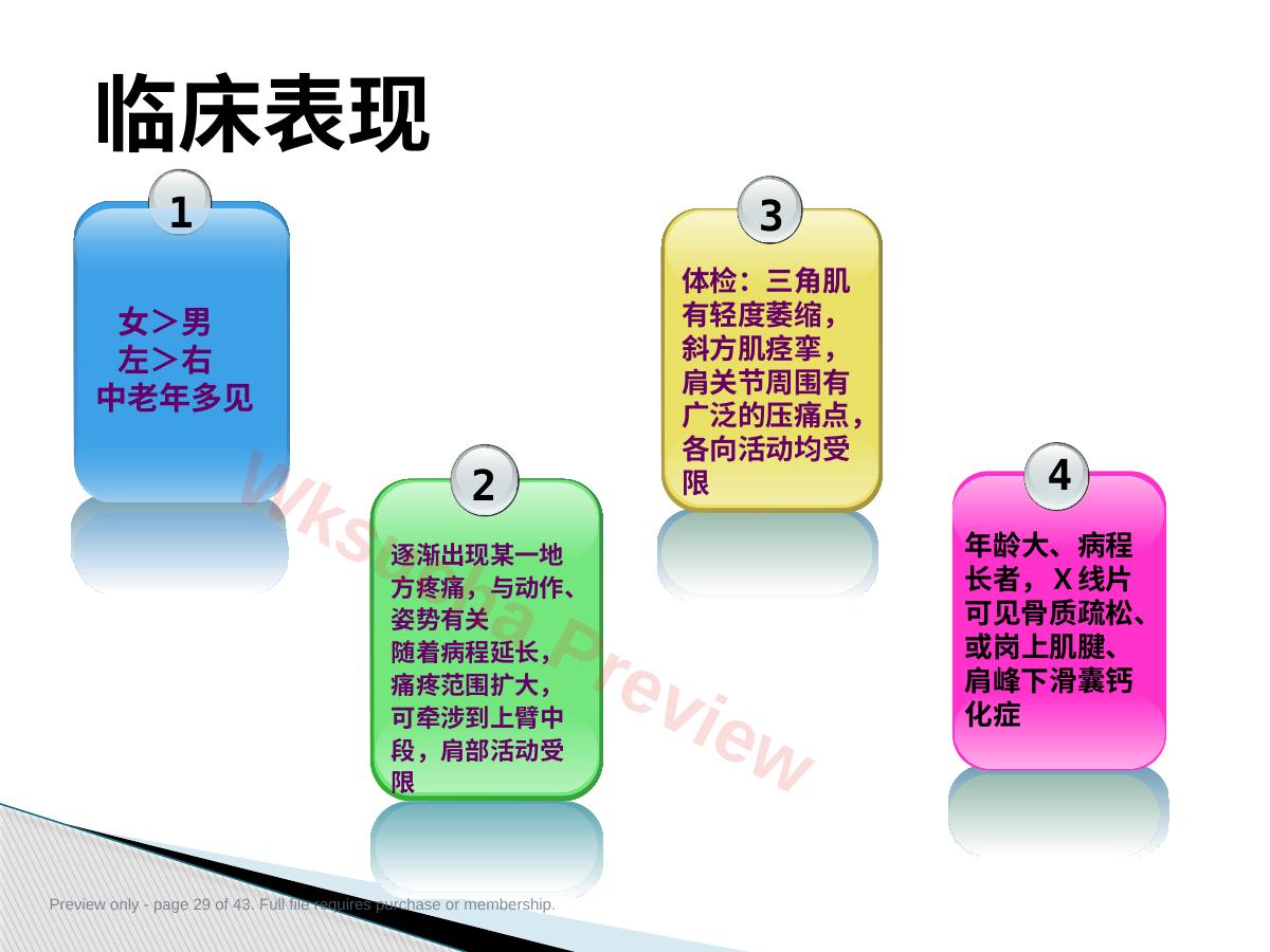 预览第 29 页