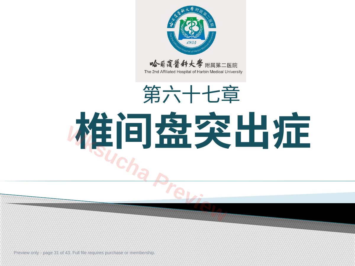 预览第 31 页