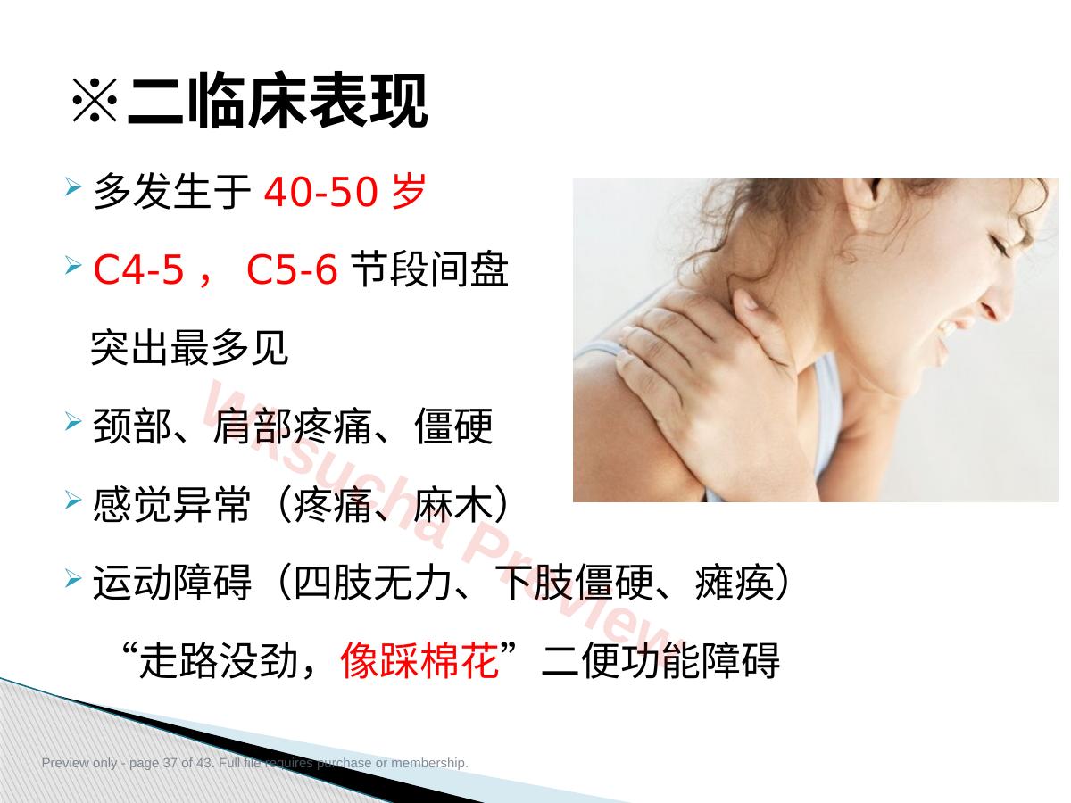 预览第 37 页