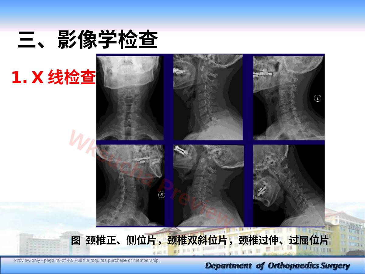 预览第 40 页