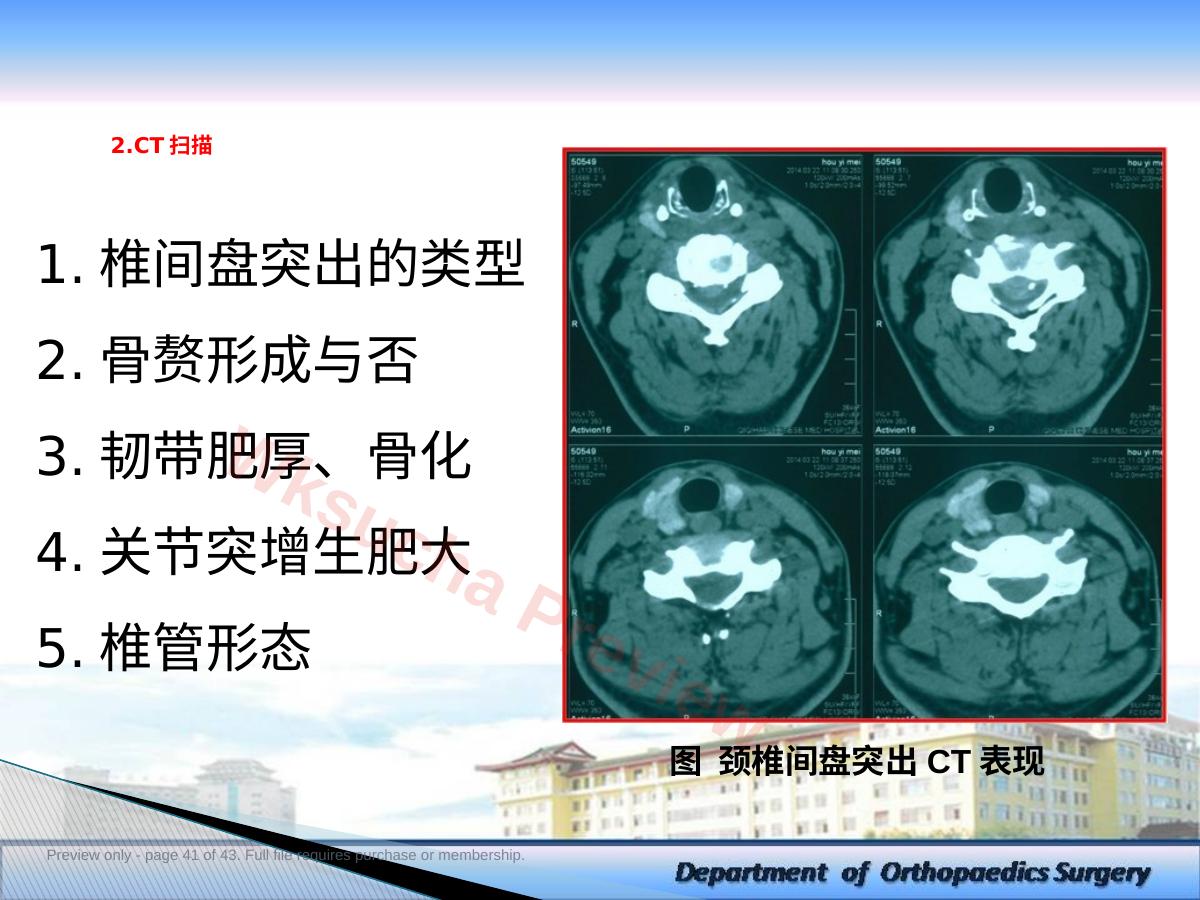 预览第 41 页