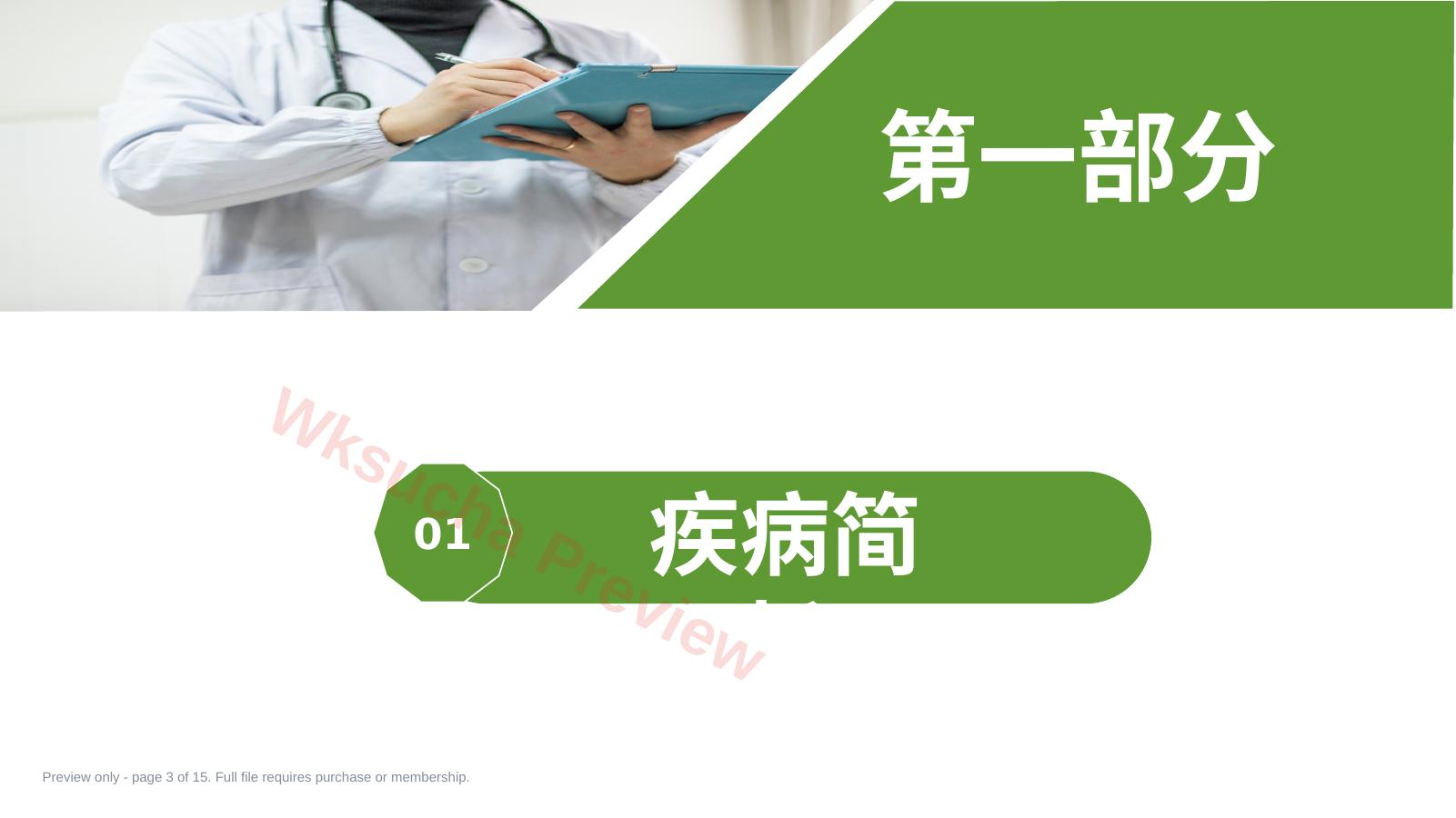 预览第 3 页
