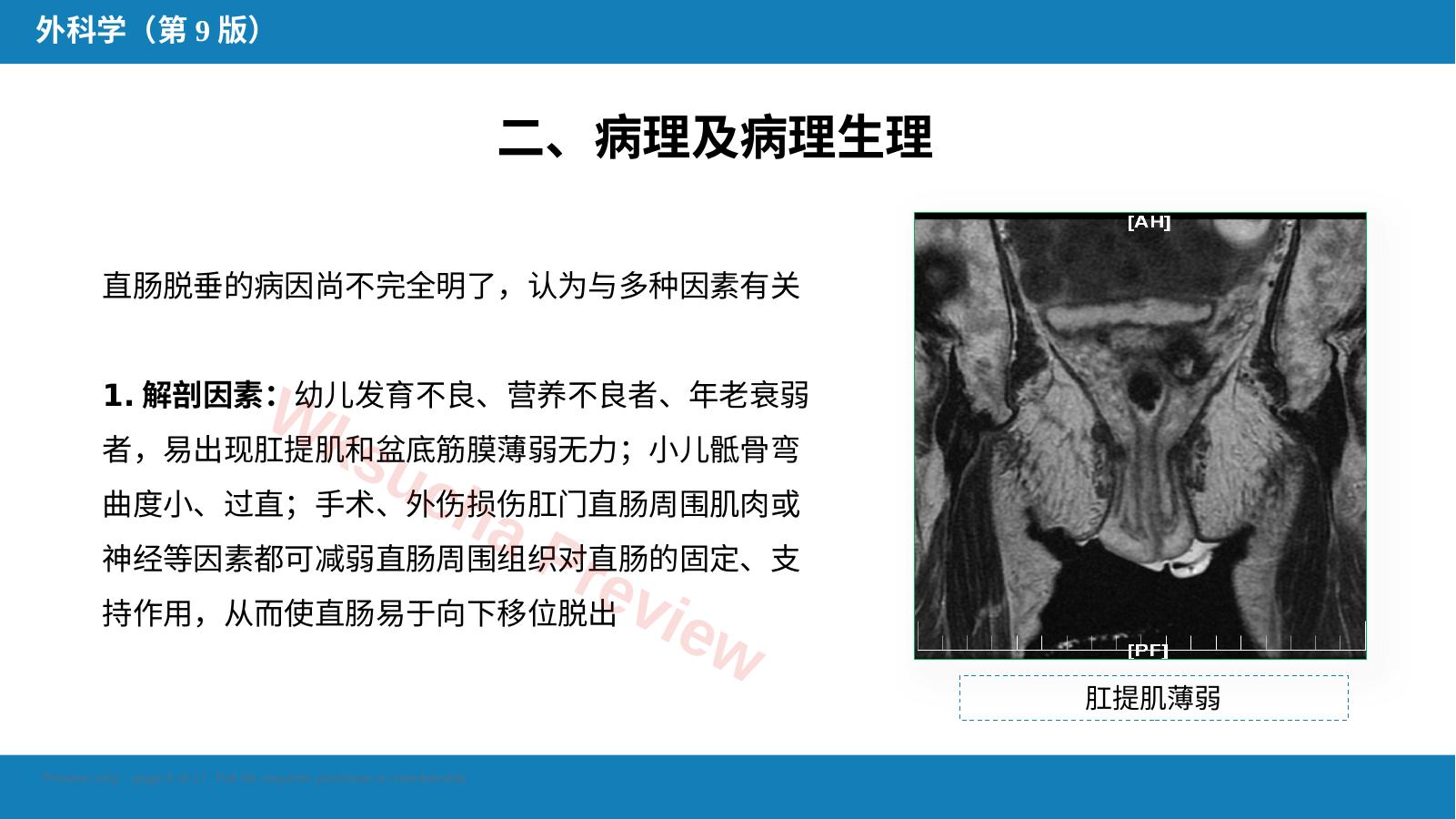 预览第 5 页