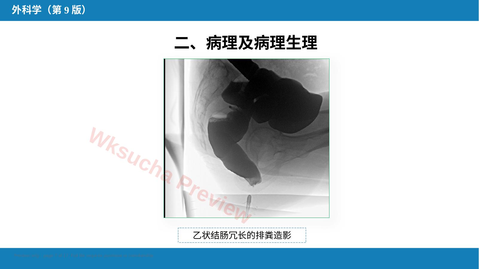 预览第 7 页