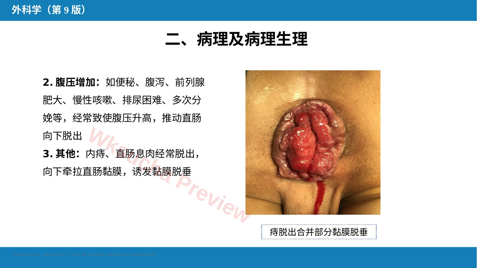 预览第 10 页