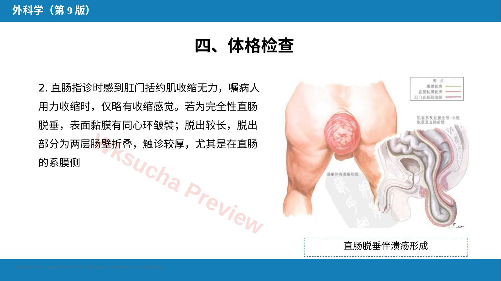 预览第 16 页