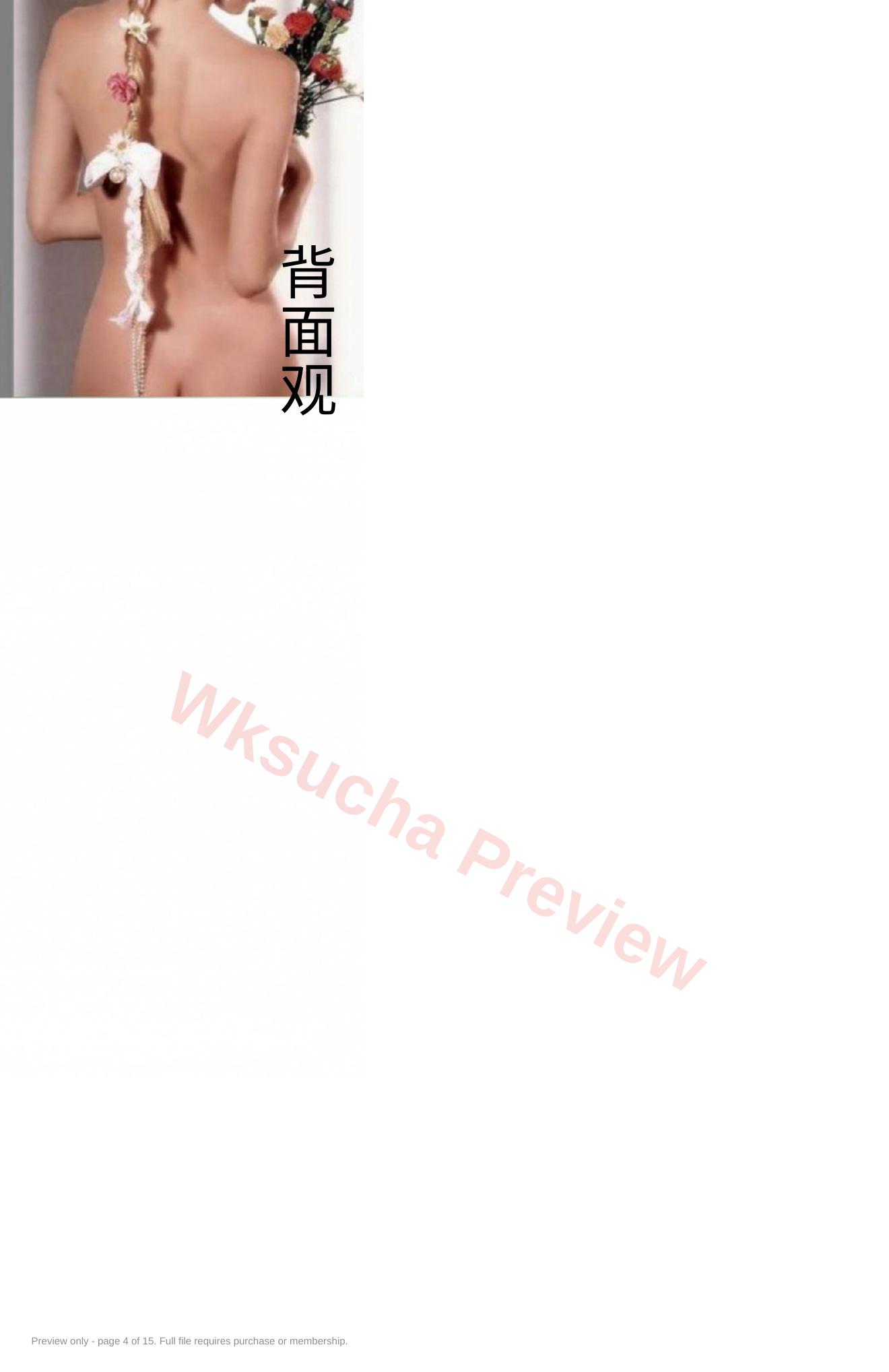 预览第 4 页