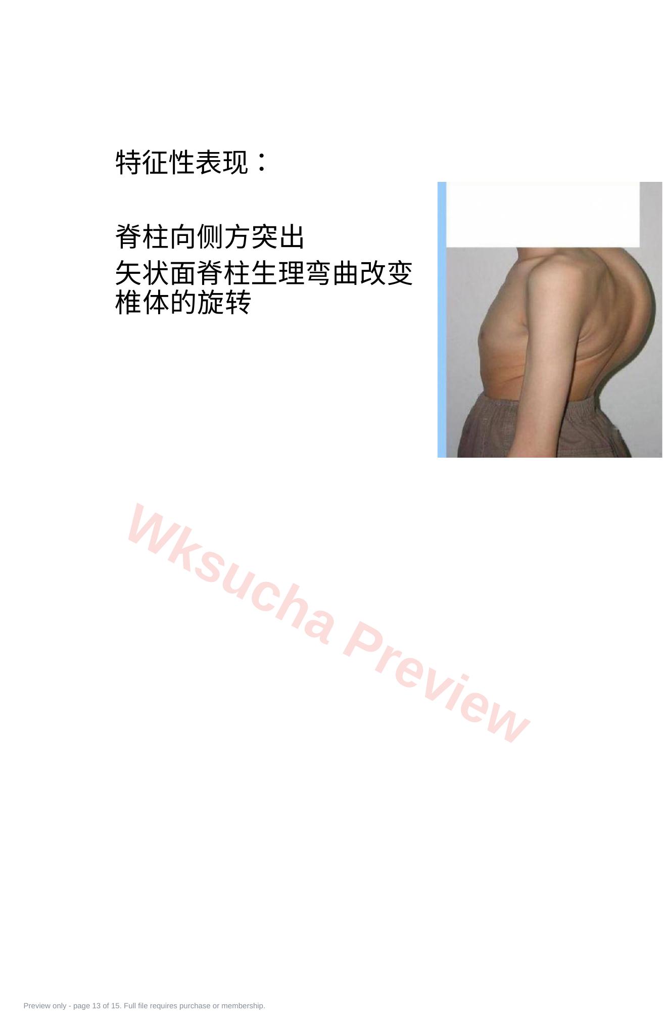 预览第 13 页