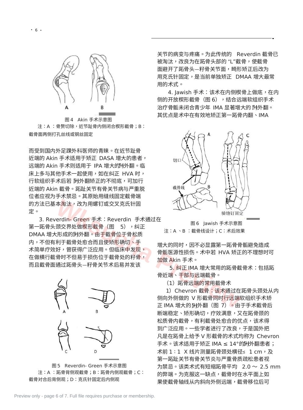 预览第 6 页
